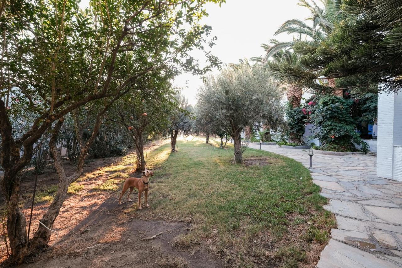 Tínos Golden Beach Studios & Suites מראה חיצוני תמונה