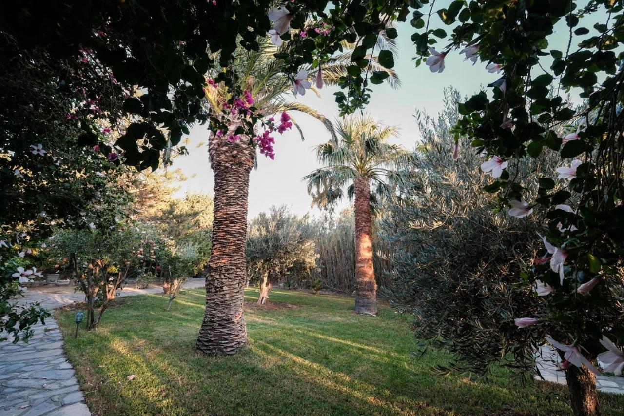 Tínos Golden Beach Studios & Suites מראה חיצוני תמונה